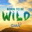 Born To Be Wild July 6 2025